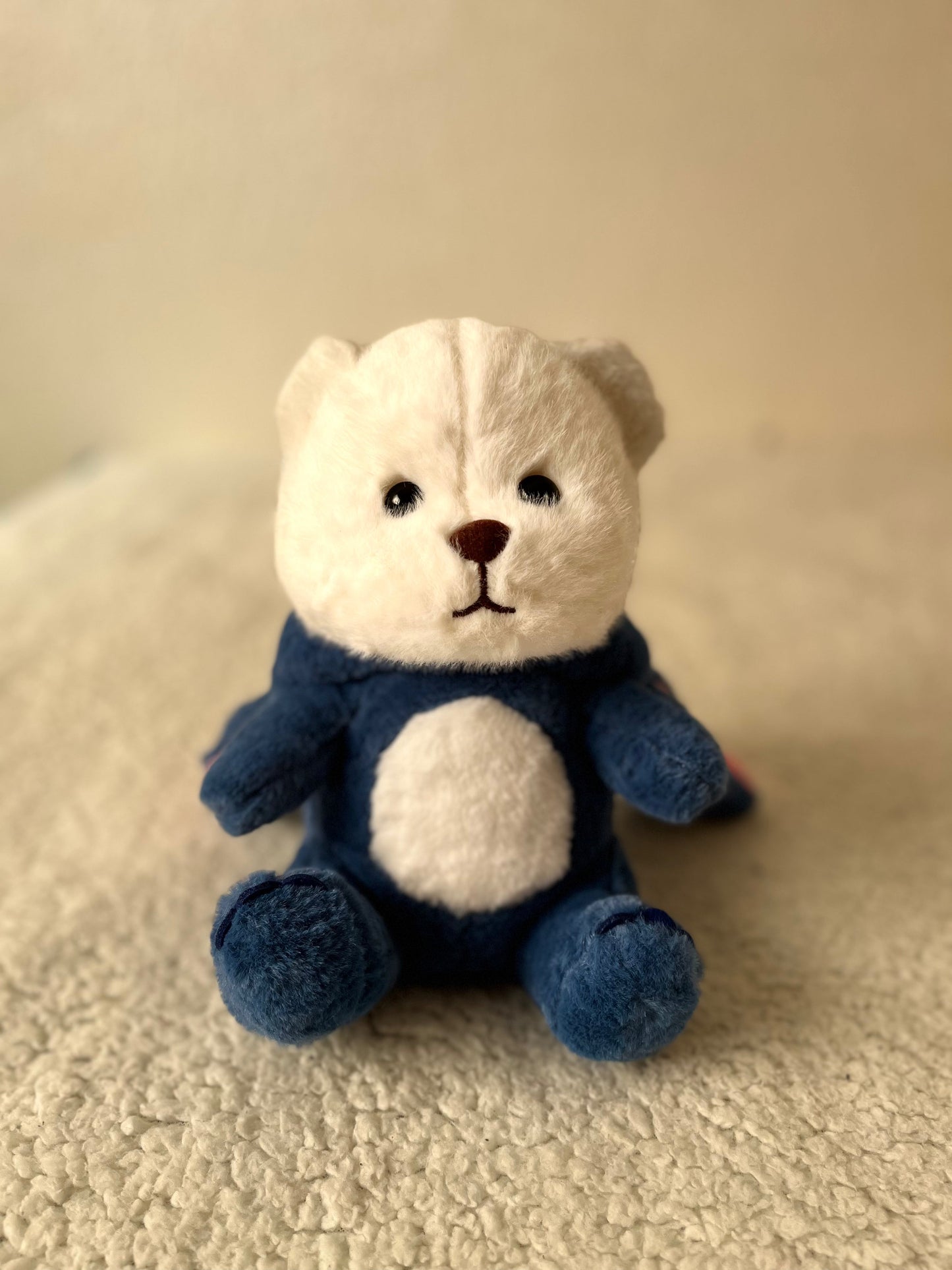 Oem Ours Masolu diffèrent couleurs