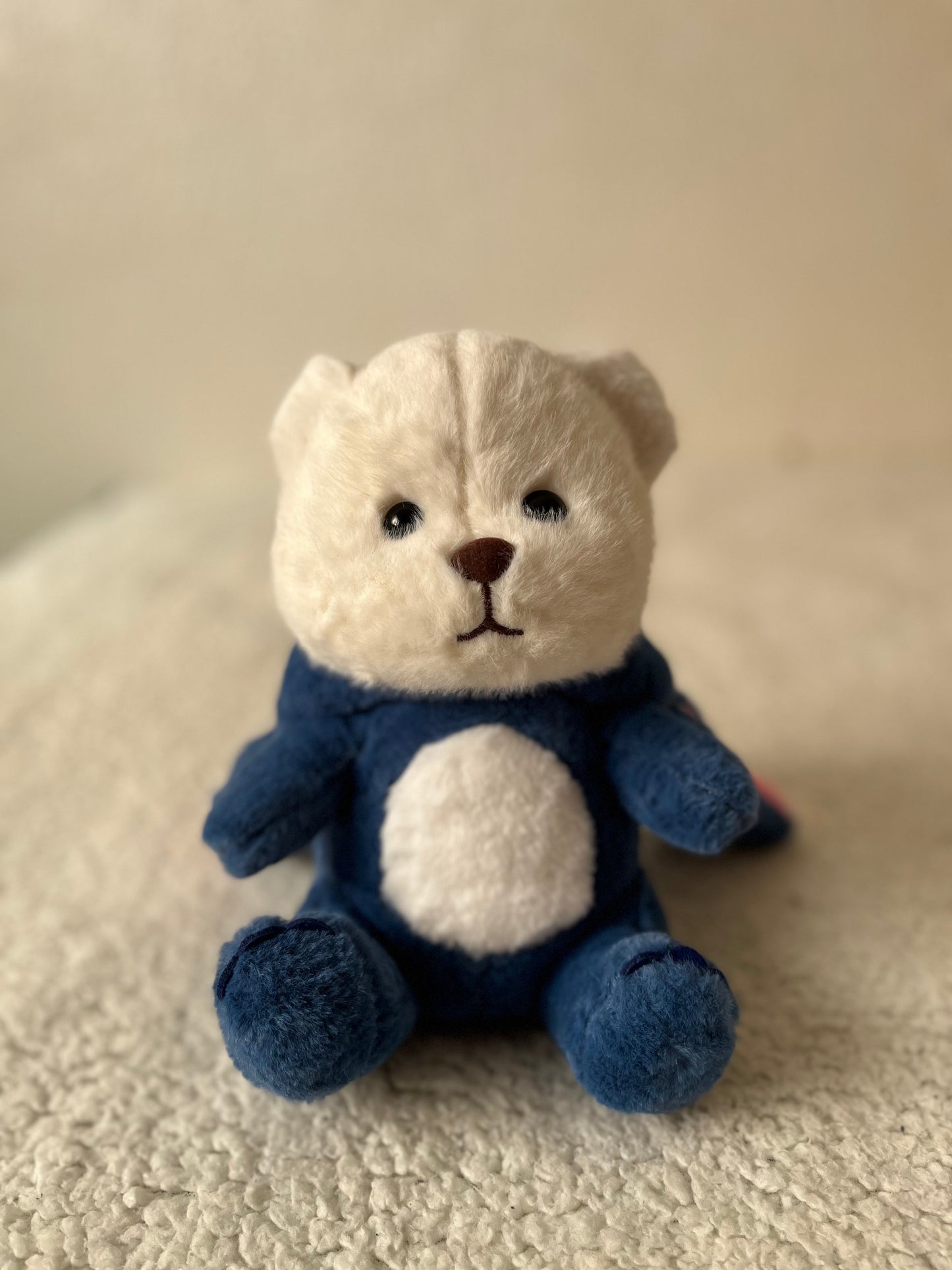 Oem Ours Masolu diffèrent couleurs