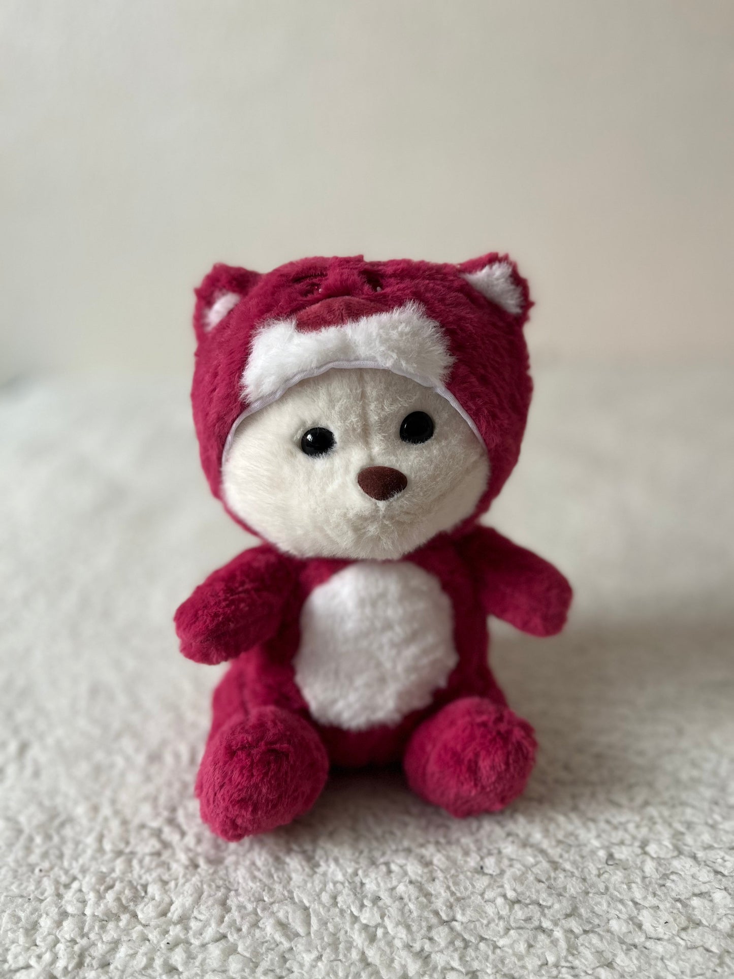 Oem Ours Masolu diffèrent couleurs